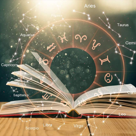 Education Guidance